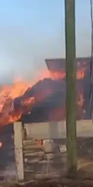 Manavgat’ta anız yangını: Rüzgarın etkisiyle yayıldı