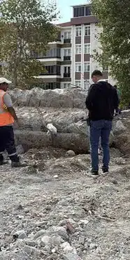 Çorum’da eski okulun yıkımında kemik parçaları bulundu