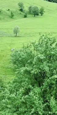 İsmail Çobanoğlu kimdir, neden hayatını kaybetti?