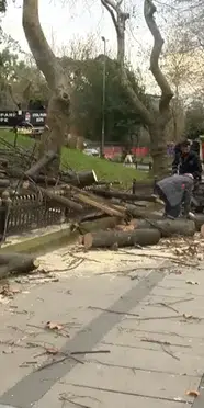 İstanbul’da sağanak yağış: Ağaçlar devrildi, rögarlar taştı