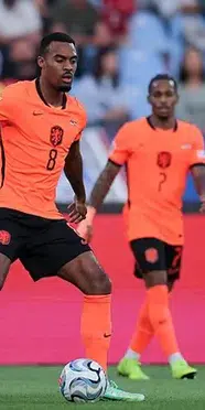 Sırbistan Hollanda maç özeti izle1-2 golleri kim attı?