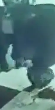 Köpeğe tekme attığı iddia edilen kaymakam hakkında soruşturma başlatıldı