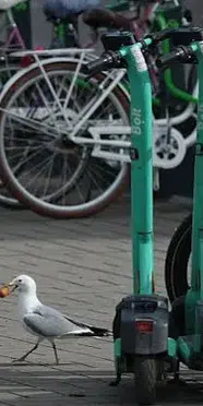 Varşova’da kurallara aykırı park edilen 140’tan fazla skuter çekildi