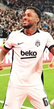 Hoffenheim Beşiktaş maç özeti 2-3 Gollerini kim attı?