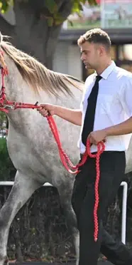 Üstün Umut kaç TL'ye satıldı? Veliefendi Hipodromu'nda 12 milyon liralık tarihi rekor