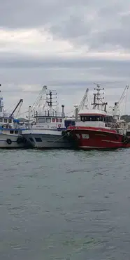 İzmir'de şiddetli poyraz nedeniyle balıkçılar denize açılamadı