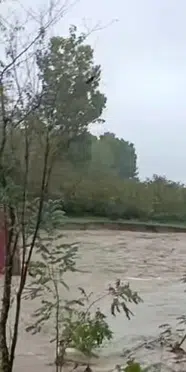 Sakarya'da ahşap evler sele kapıldı: Kanlıçay Deresi taştı