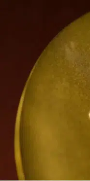 Nobel kazanan Anne Carson kimdir, kaç yaşında ve Türkçe'de hangi kitapları var?