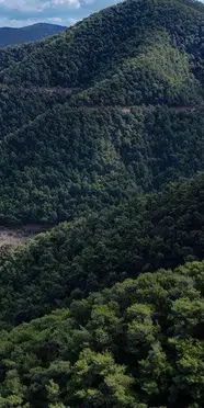 Orman yasağı ne zaman bitiyor, il il ormanlara giriş serbestliği hangi tarihte başlıyor?