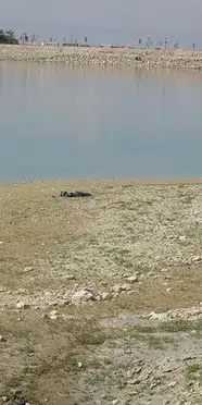 Malatya'da şüpheli ölüm: Gölette erkek cansız bedeni bulundu