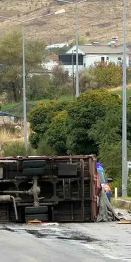 Arı yüklü kamyon kontrolden çıkarak devrildi: 2 kişi yaralandı