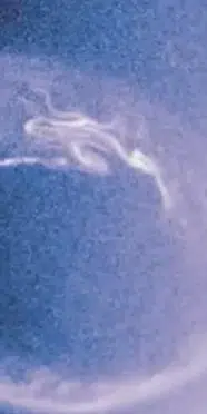 Çin ve Avrupa’nın ortak projesi SMILE uydusu Kuzey Işıklarını görüntüledi