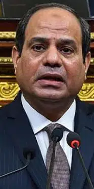 Sisi Afrika ülkelerine işbirliği çağrısında bulundu