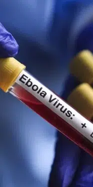 Afrika'da ebola salgını: Sağlık Bakanları olağanüstü toplanıyor