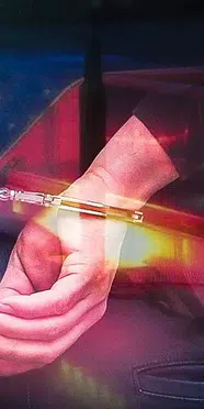 Daltonlar suç örgütüne yönelik operasyon: 33 şüpheli hakkında gözaltı kararı