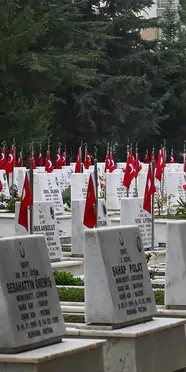 Dedem nerede şehit oldu sorgulama nasıl yapılır? MSB Şehit Bilgi Kapısı ekranına nasıl girilir?