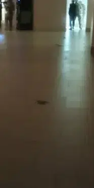 Adana'da kızını öldürmeye çalışan baba özel harekât operasyonuyla yakalandı