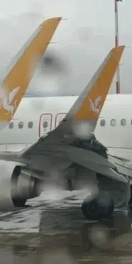 İstanbul'dan kalkan yolcu uçağı kuş sürüsüne çarptı: Havada korku dolu anlar