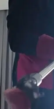 Tokat'ta bir eve giren 16 yarasa çıkarıldı