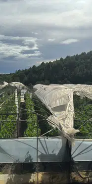 Antalya'da sel felaketi: 26 ev ve 1450 dönüm sera zarar gördü