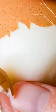 Haşlanmış Yumurta Nasıl Kolay Soyulur? İşte Püf Noktası