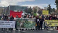 İstanbul’da hayvan hakları savunucuları besleme yasaklarını protesto etti