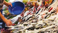 Balık tüketicisini korkutan açıklama! Hamsi, palamut, lüfer hangisi daha vahim?