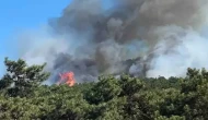 Ataşehir’de orman yangını büyümeden söndürüldü