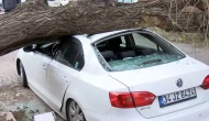 Bir saniyeyle kurtuldu! Lodos etkisiyle ağaç 4 aracın üzerine devrildi
