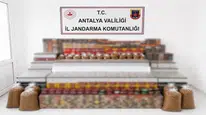 Manavgat’ta kaçak tütün operasyonu: 30 bin dolu makaron ve 274 nargile tütünü ele geçirildi