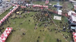 Tekirdağ'da festivale binlerce kişi katıldı: 3 ton hamsi dağıtıldı