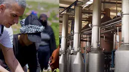 Köyüne fabrika kuran sanatçı paraya para demiyor; Berdan Mardini'nin ürettikleri dikkat çekti