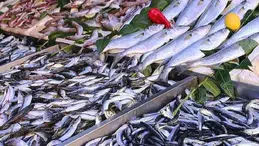 Hamsi veya istavrit değil: Tezgahların yeni kralı belli oldu