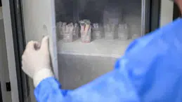 İnsanların derileri Türkiye’de bu merkezde saklanıyor