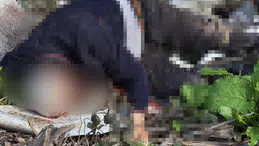 Düzce’de yayla yolundaki cinayette zanlı suçunu itiraf etti