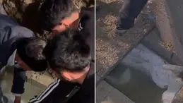 Mezarlıkta şaşkına çeviren olay: Görenler ekiplere haber verdi