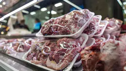 Ankara'da sağlığı tehdit eden 40 ton et ele geçirildi