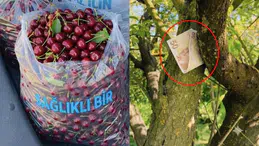 Sosyal medyada tartışma yaratan fotoğrafın perde arkası ortaya çıktı