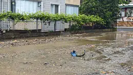 Ordu’da şiddetli yağış nedeniyle ev ve iş yerlerini su bastı
