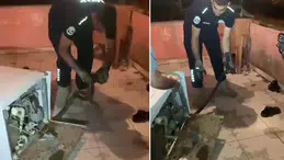 Bulaşık makinesinden 2 metrelik karayılan çıktı
