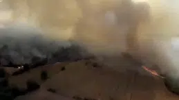 Balıkesir'de yangın: Ziraat alanında başlayan yangın ormana sıçradı