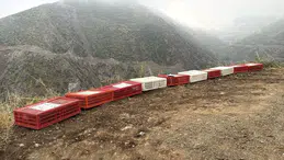 Hatay'da doğal yaşamı desteklemek amacıyla 400 keklik doğaya salındı