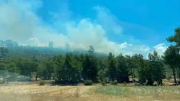 Muğla'nın Seydikemer ilçesinde orman yangını! Ekiplerin müdahalesi sürüyor