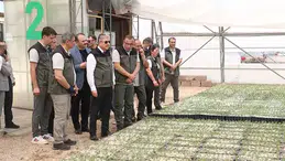 Bursa'daki yangın alanları Eskişehir'de üretilen fidanlarla yeniden yeşerecek
