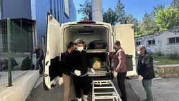 Yaz geldi Sivas'ta kene bir can daha aldı! 3 çocuk yetim kaldı