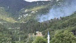 Antalya'da yangın: Yangına havadan ve karadan müdahale ediliyor