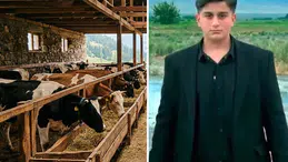 Iğdır'da büyükbaş hayvanın saldırısında 16 yaşındaki genç yaşamını yitirdi