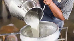 Çiğ süt üretim maliyeti açıklandı: Üreticinin yükü bir ayda geriledi