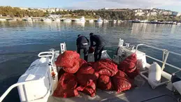 Kaçak avlanan 700 kilogram midye ele geçirildi