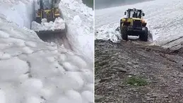 Yaz ortasında şaşırtan manzara! Kars'ta 3 metrelik kar kütleleri temizleniyor